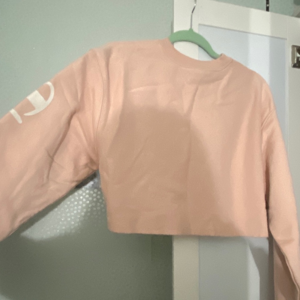 champion cropped hoodie
